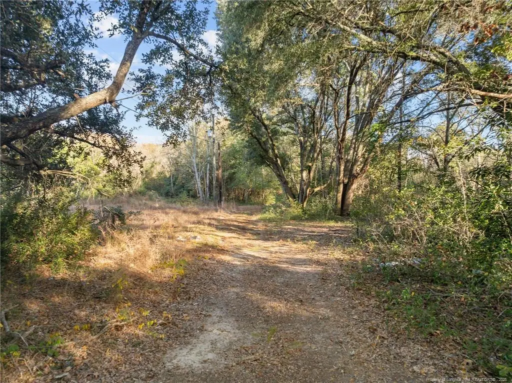 Doby Drive, Raeford, NC 28376 - Image #1