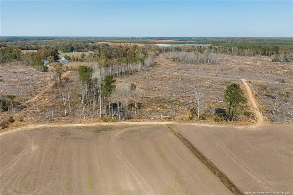 Lot 7 Barnesville Church Road, Orrum, NC 28369 - Image #1