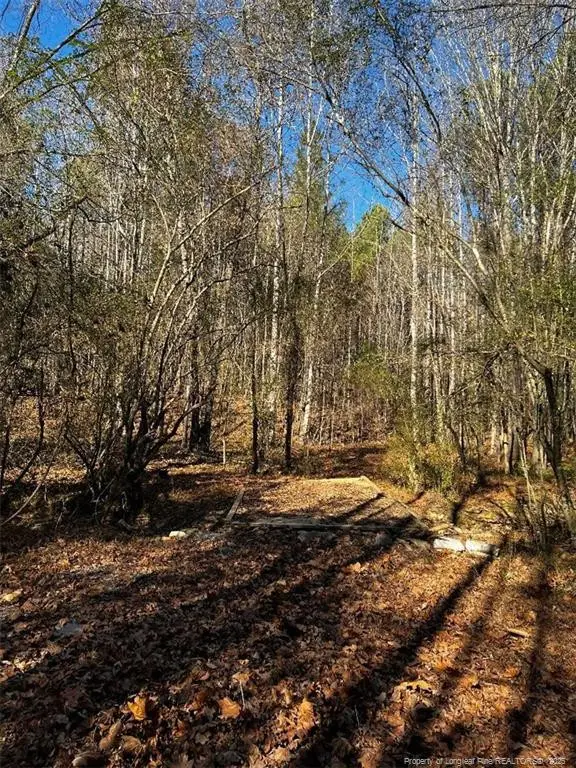 0 J Dowdy Road, Goldston, NC 27252 - Image #3