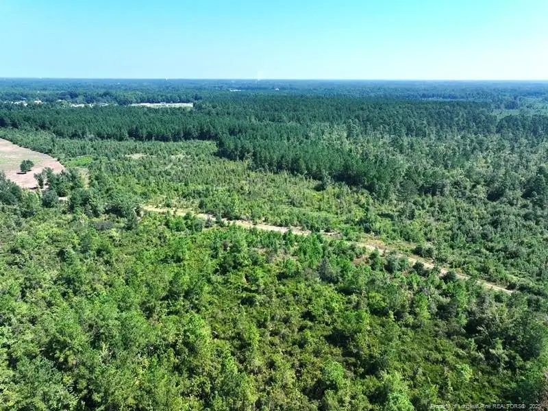 TBD Alamac (off Of) Road, Lumberton, NC 28358 - Image #3