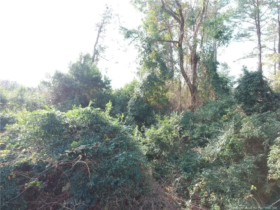 Blake Drive And Off Highway 401 Drive, Raeford, NC 28376 - #2