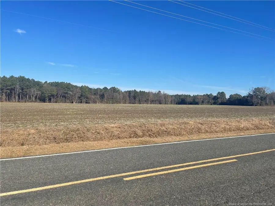 Tobacco Road, Orrum, NC 28369 - #2