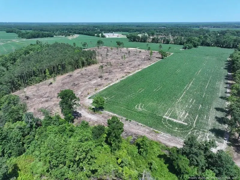 TBD Nc Hwy 71 Highway, Red Springs, NC 28377 - #2