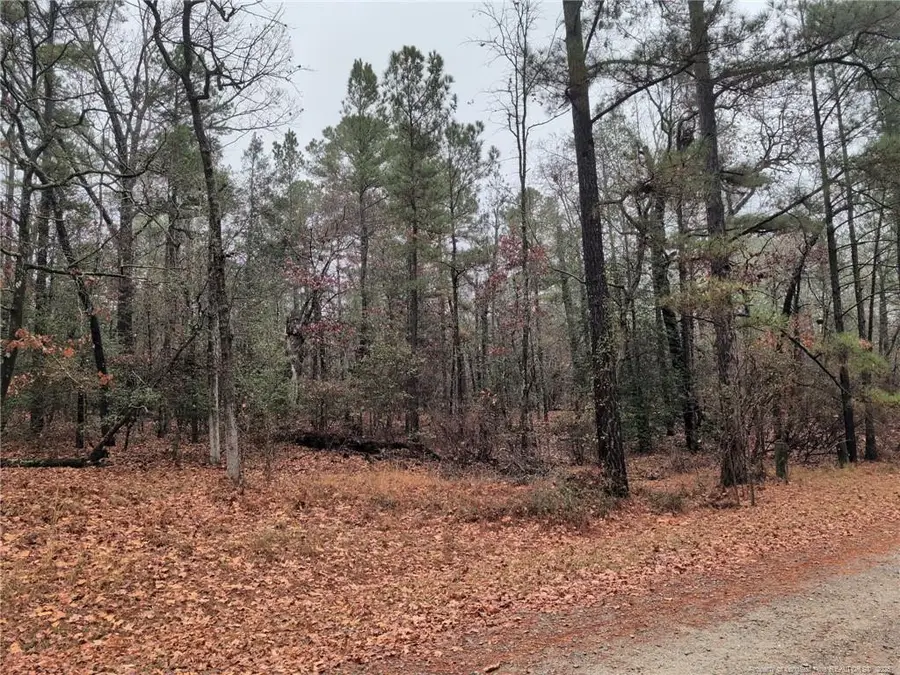 1211 Laurel Circle, Vass, NC 28394 - #2