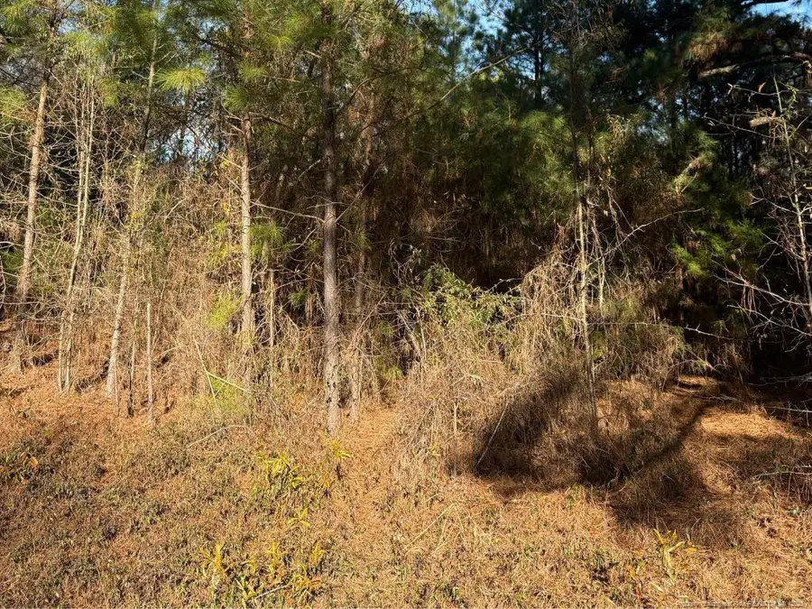 3237 Old Stage Road S, Erwin, NC 28339 - #3