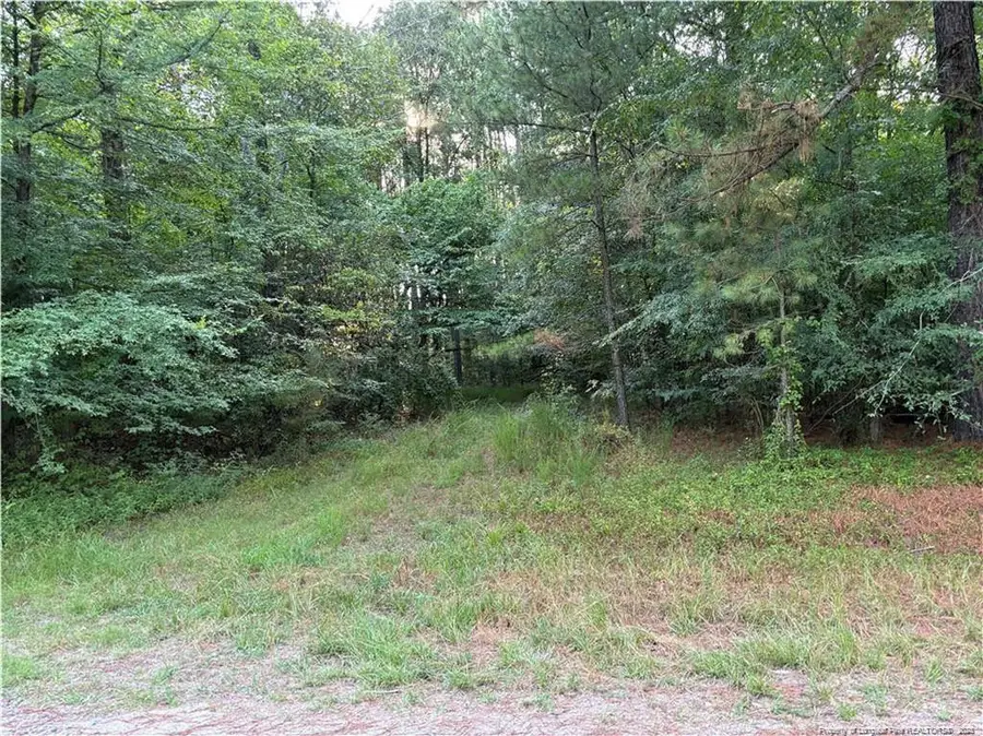 Christian Chapel Church Road, New Hill, NC 27562 - Image #3