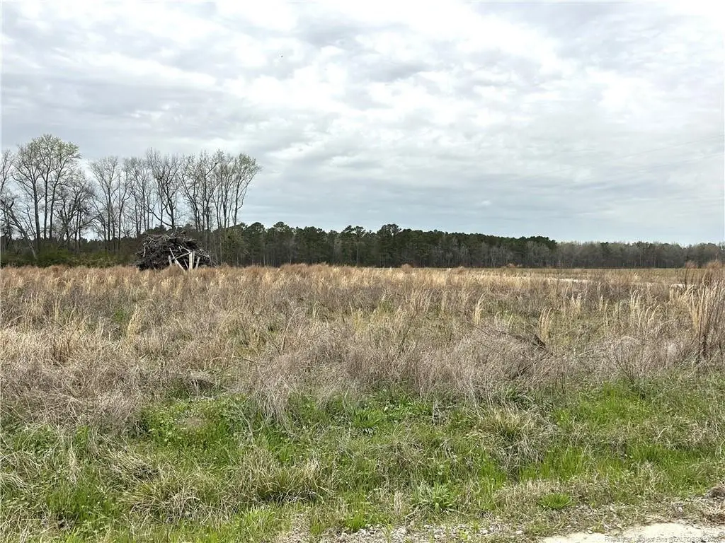 Costner Road, Lumber Bridge, NC 28357 - Image #1
