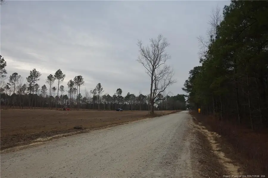 Lot 7 Sand Rock Road, Fairmont, NC 28340 - #3