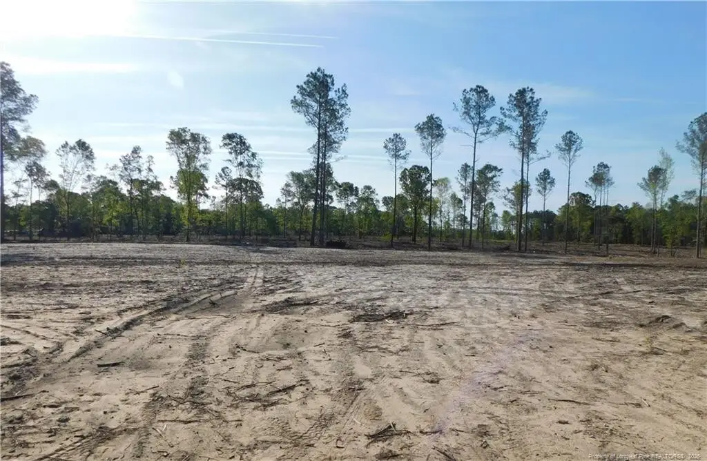 Lot 11 Sand Rock Road, Fairmont, NC 28340 - #1