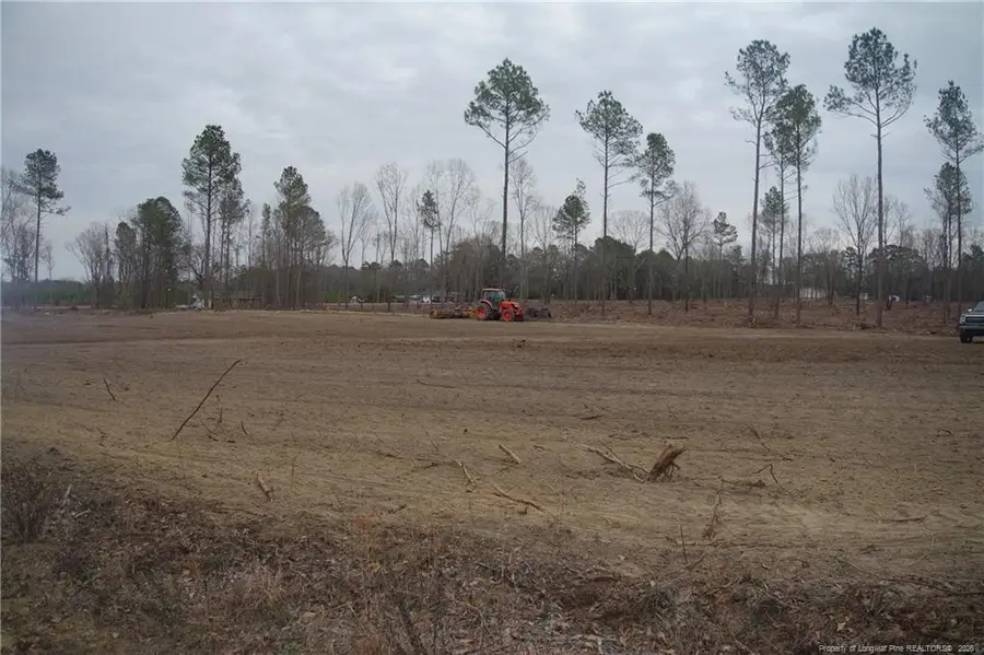 Lot 13 Sand Rock Road, Fairmont, NC 28340 - #3