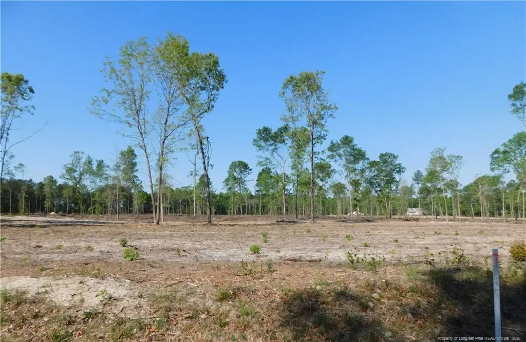 Lot 4 Nc 904 Highway, Fairmont, NC 28340 - #1