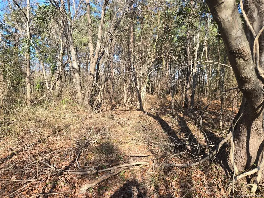 1313 Cory Circle, Eastover, NC 28312 - Image #1