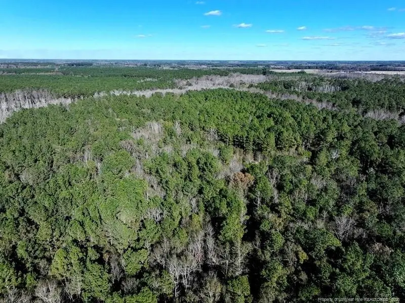 TBD Stuarts Mill Road, Fairmont, NC 28340 - Image #3