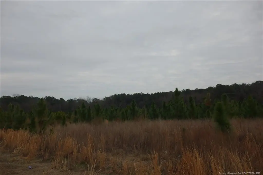 Lot 36 Stuarts Mill Road, Fairmont, NC 28340 - #1