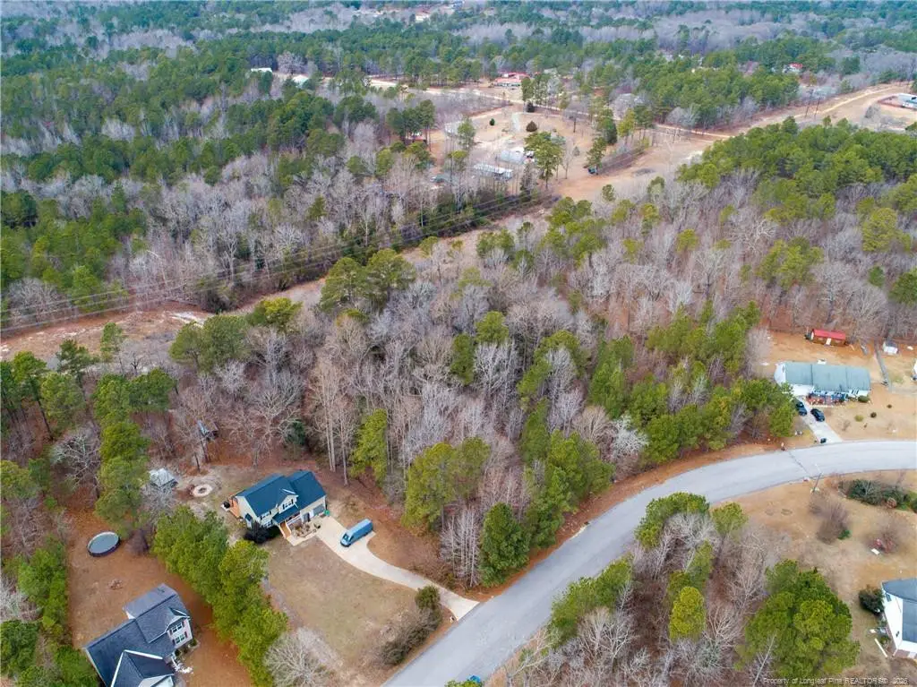 286 Colonial Hills Drive, Lillington, NC 27546 - Image #1