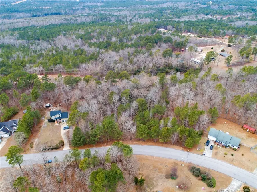 286 Colonial Hills Drive, Lillington, NC 27546 - Image #3