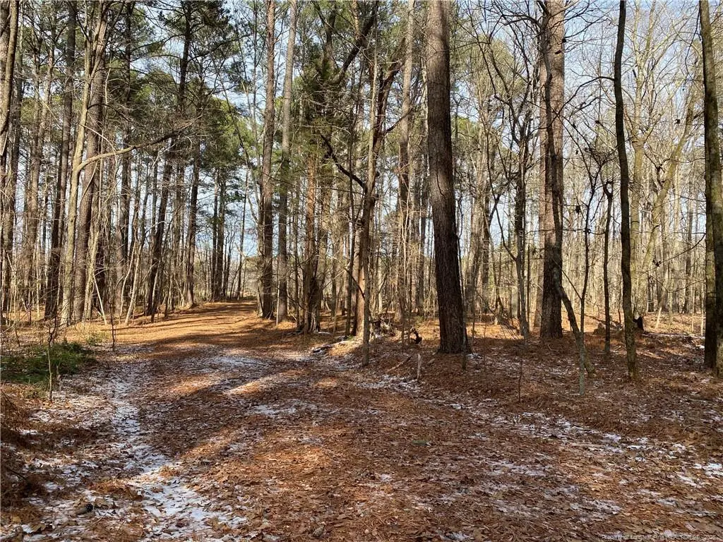 Breezeway Lane, Carthage, NC 28327 - #1