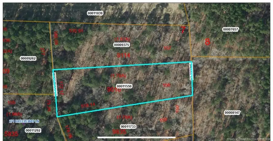 Breezeway Lane, Carthage, NC 28327 - #3