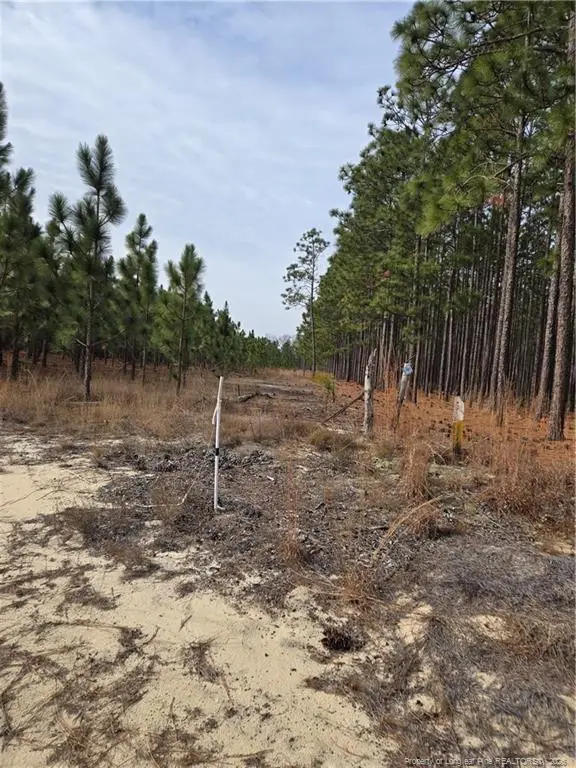 0000 Sugarloaf Road, Elizabethtown, NC 28337 - Image #2