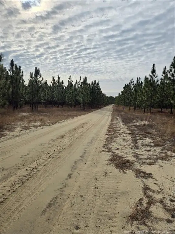 0000 Sugarloaf Road, Elizabethtown, NC 28337 - Image #3