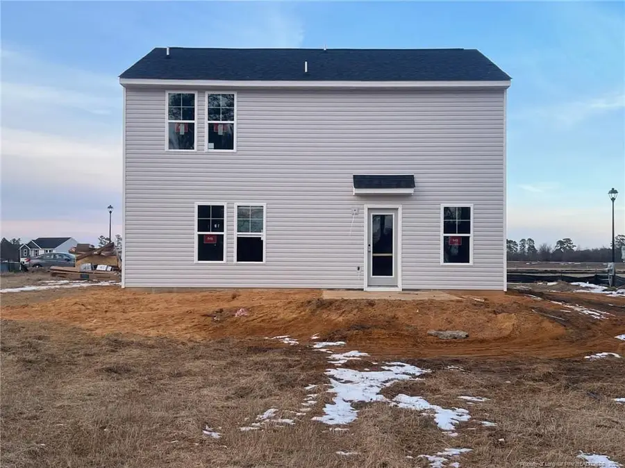 245 Buggy Top Lane, Autryville, NC 28318 - #2