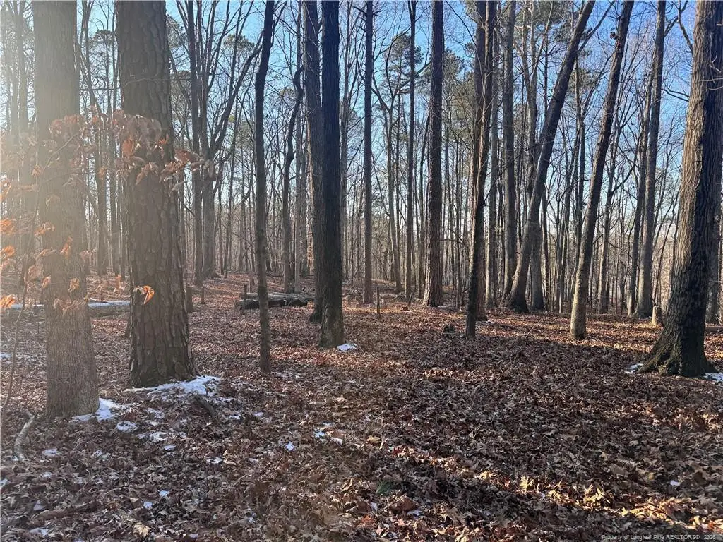 Oldham Lake Road, Sanford, NC 27330 - #1