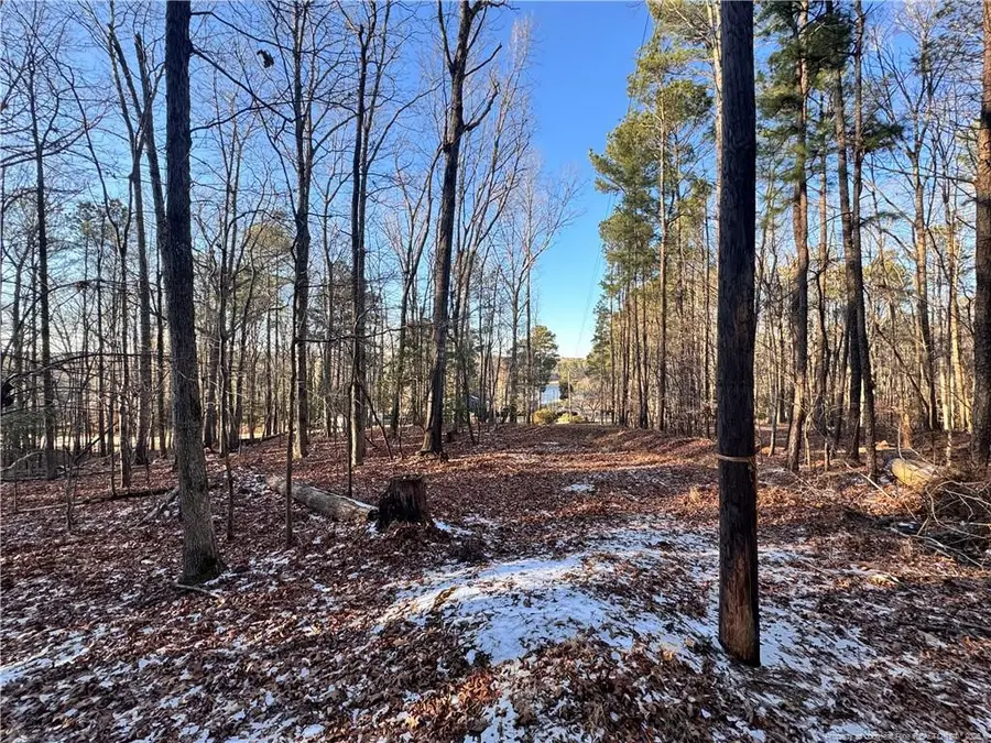 Oldham Lake Road, Sanford, NC 27330 - #3