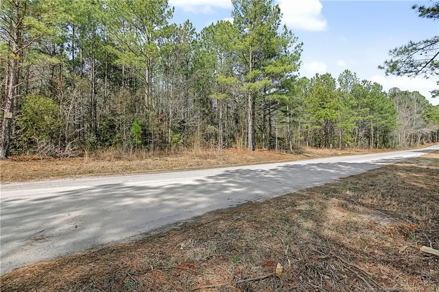 632 Creeksville Church Road, Spring Lake, NC 28390 - #2