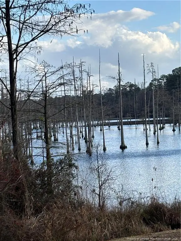 3342 Vassar Circle, Fayetteville, NC 28306 - #1