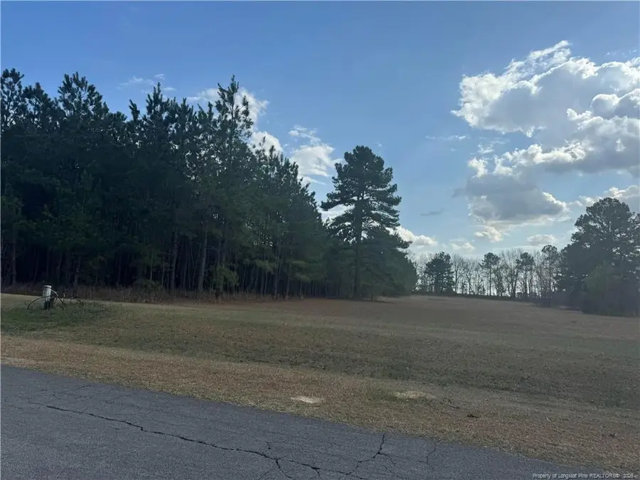 Saddlebred Lane, Raeford, NC 28376 - #3