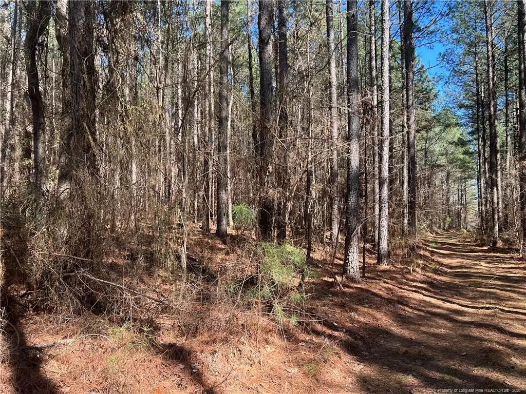 0 Tempting Church Road, Sanford, NC 27330 - #1