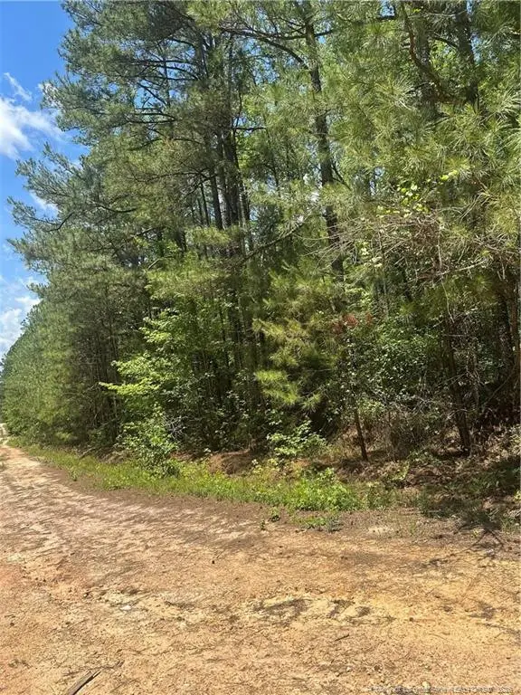 355 Marigold Lane, Vass, NC 28394 - #3