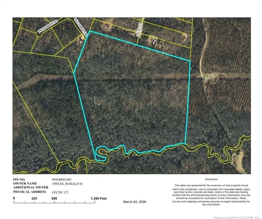 TBD Celtic Court, Raeford, NC 28376 - #2