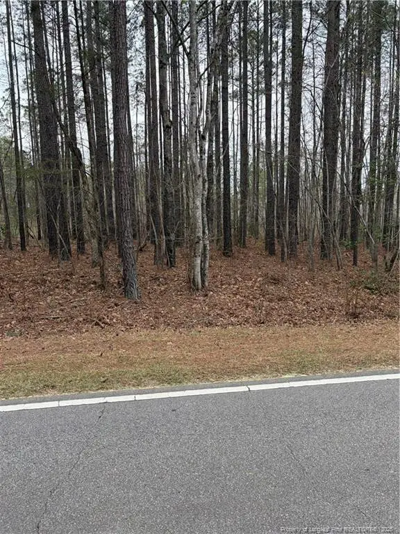 Mcpherson Road, Sanford, NC 27330 - #2