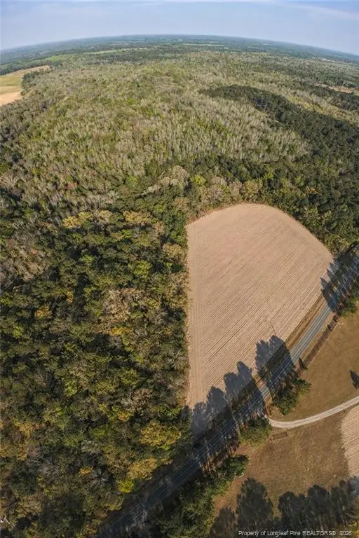 Ruth Vinson Road, Autryville, NC 28318 - #3