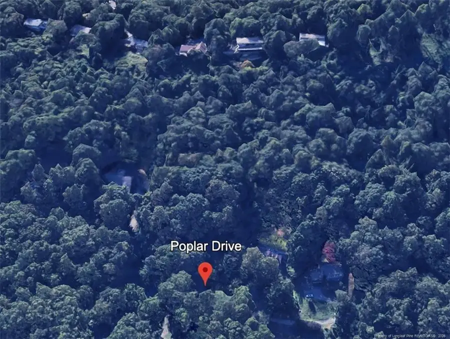 0 Poplar Drive, Mills River, NC 28759 - #2