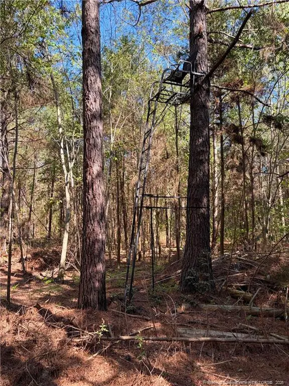 Clark Road, Maxton, NC 28364 - #2