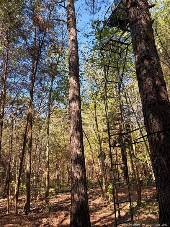 Clark Road, Maxton, NC 28364 - #3