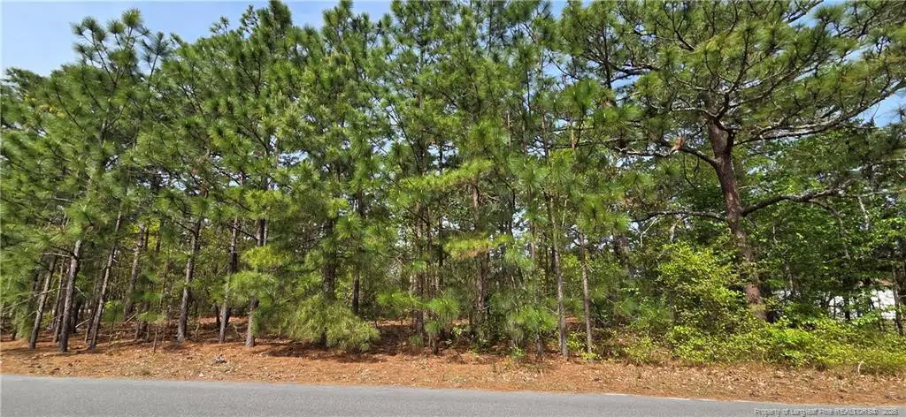 624 Cressida Drive, Fayetteville, NC 28311 - #1