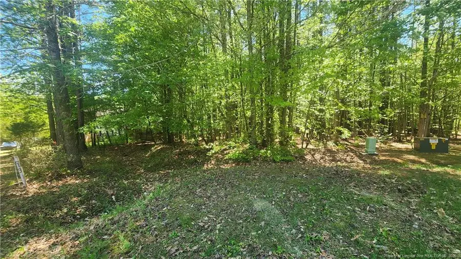 N Plantation Pines, Williamsboro, NC 27537 - #2