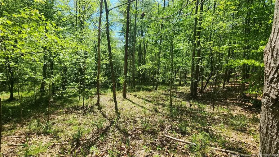 N Plantation Pines, Williamsboro, NC 27537 - #3