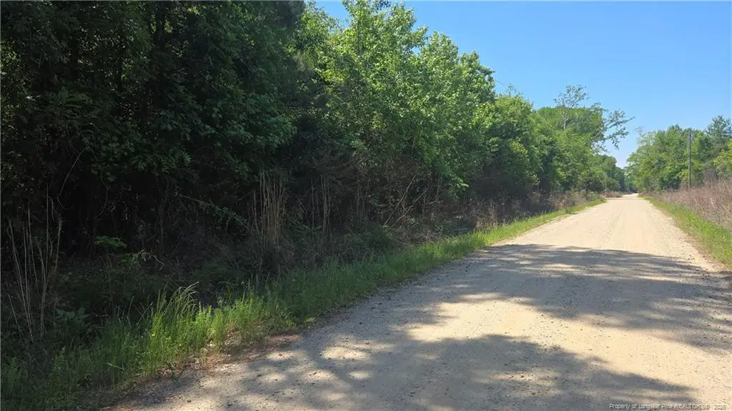 1634 Sweetie Road, Fayetteville, NC 28312 - #1