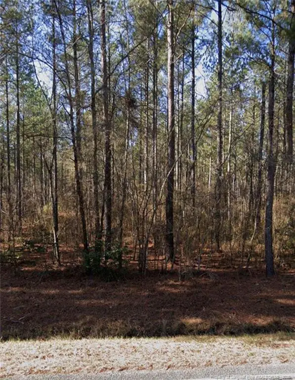 Mcbryde Street, Linden, NC 28356 - #1