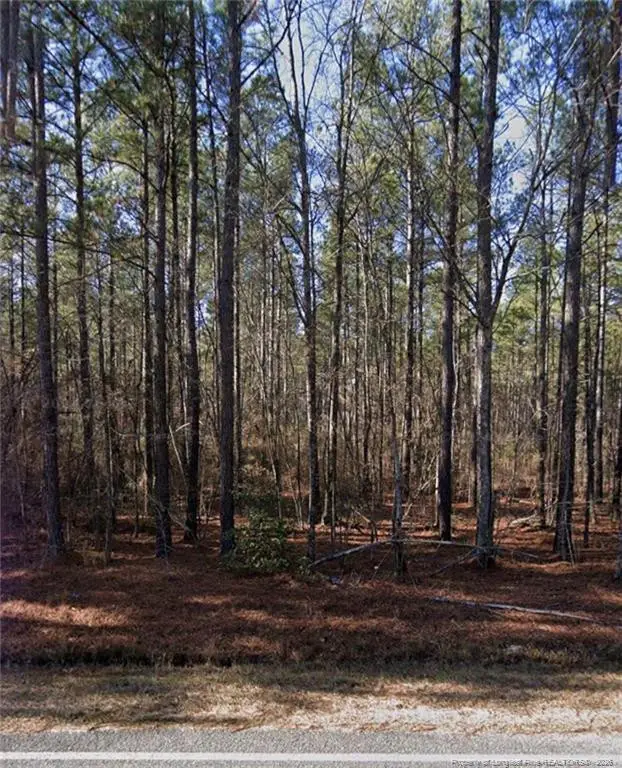Mcbryde Street, Linden, NC 28356 - #2