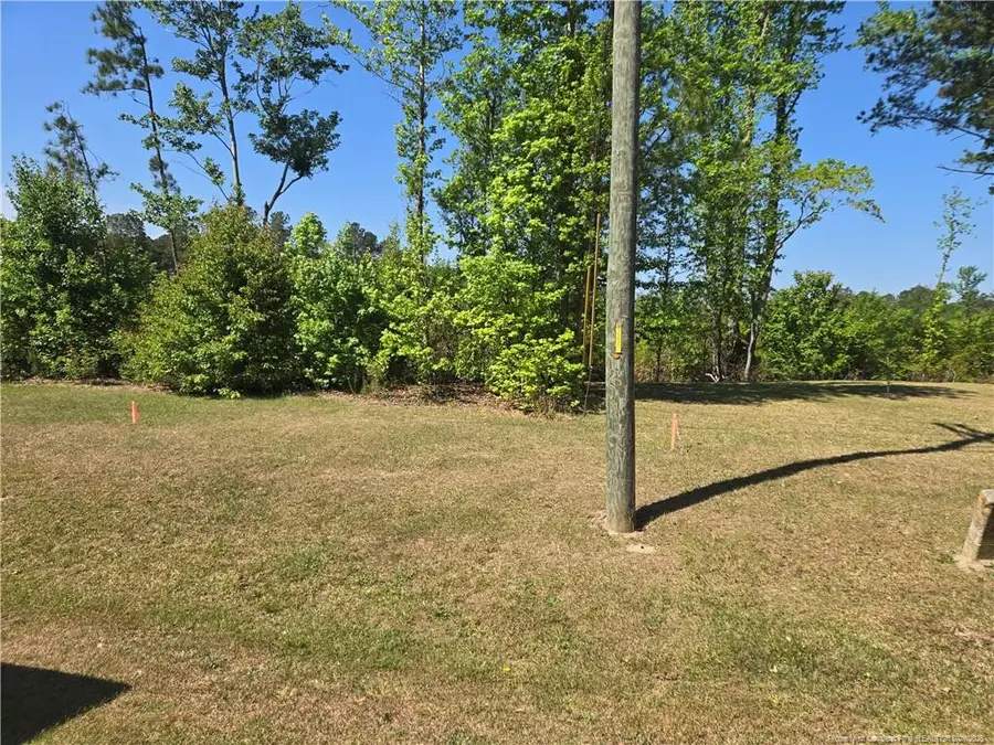 2916 Hummingbird Place, Fayetteville, NC 28312 - #3