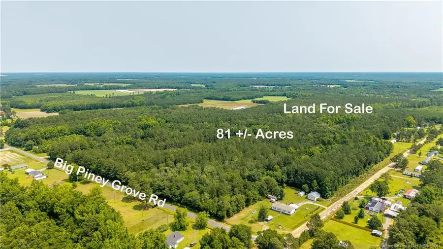 Big Piney Grove Road, Clinton, NC 28328 - #2