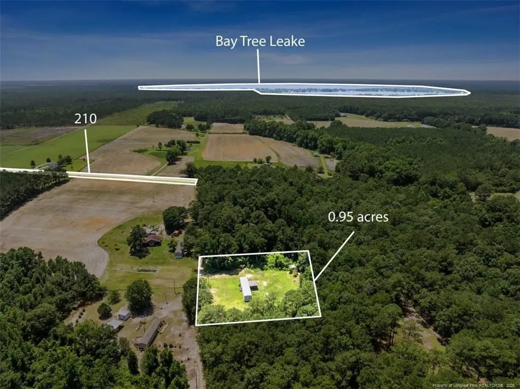 145 Opossum Ln, Harrells, NC 28444 - #1