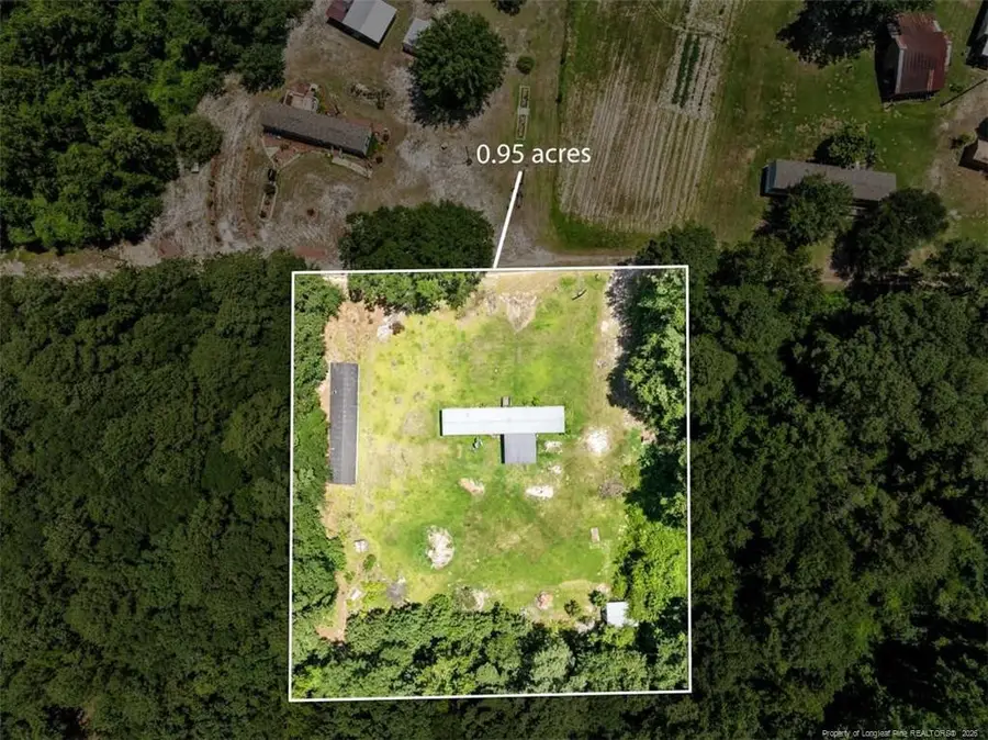 145 Opossum Ln, Harrells, NC 28444 - #3