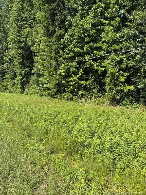 Lemon Springs Road, Sanford, NC 27332 - #1