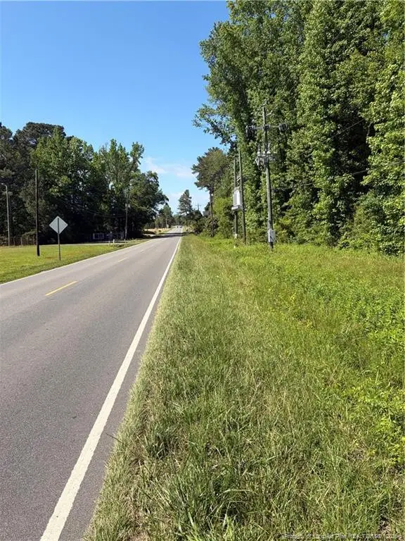 Lemon Springs Road, Sanford, NC 27332 - #3